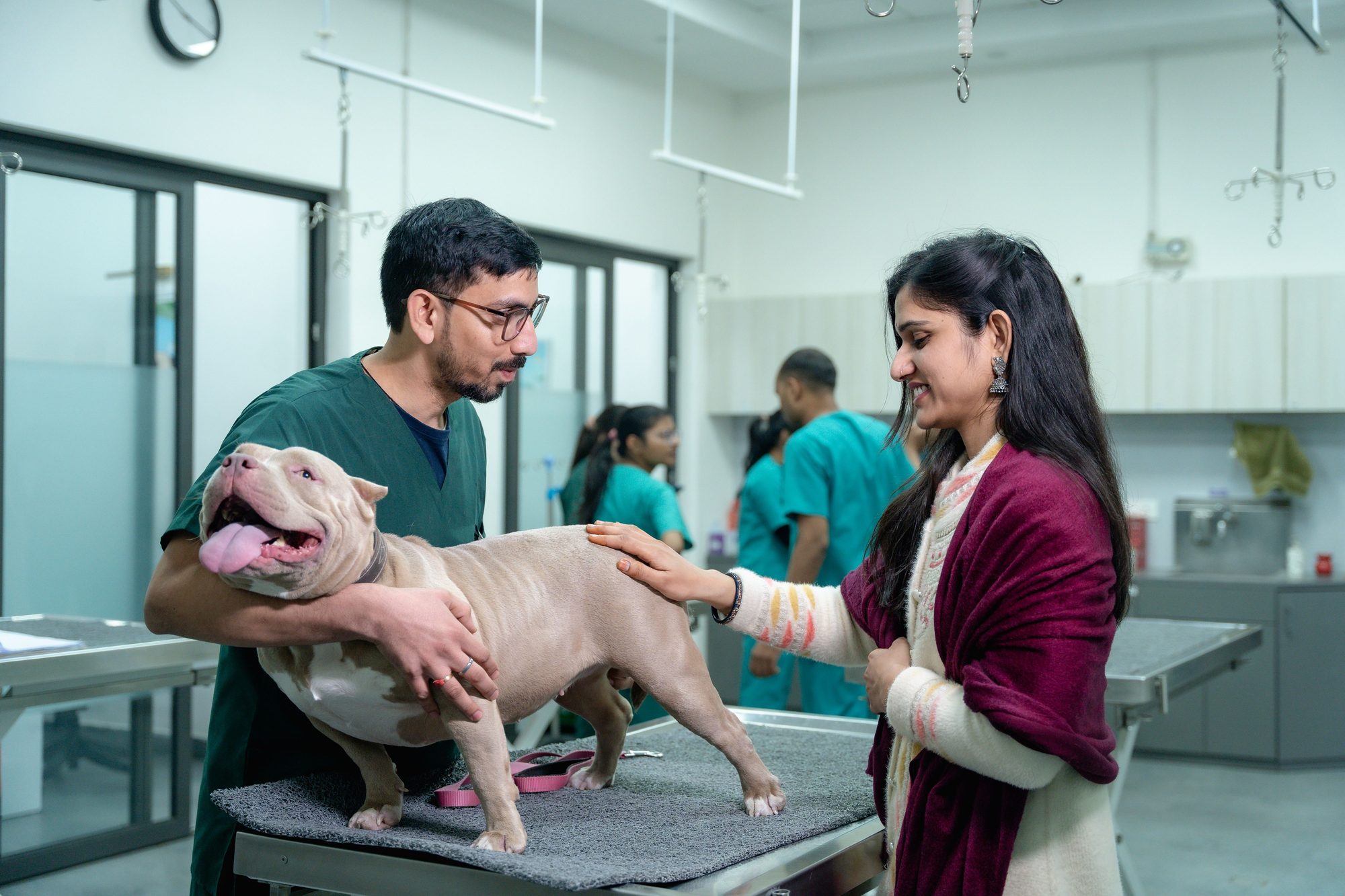 A veterinarian in green scrubs gently examines a light-colored bully breed dog on a clinic exam table while the dog's owner smiles and pets its back